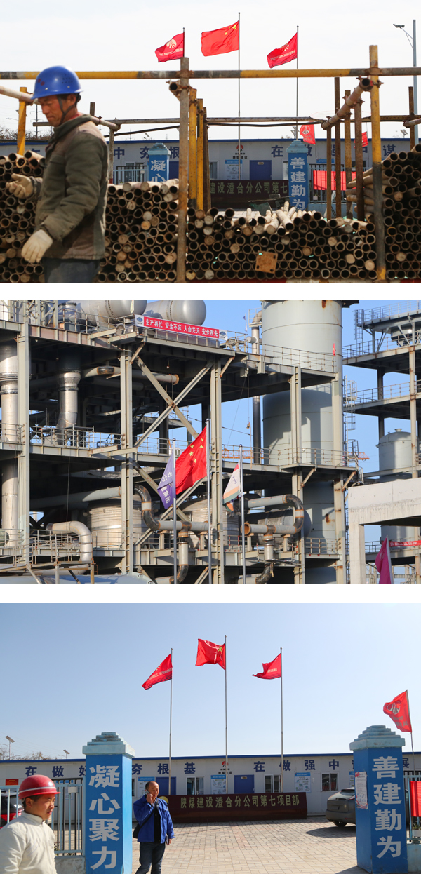 1574048481576856.jpeg 003 7C7A7651.jpg