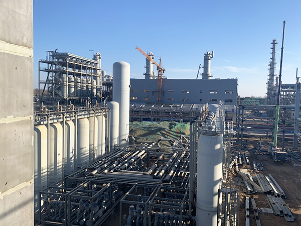 1577418259227022.jpeg 3.jpg