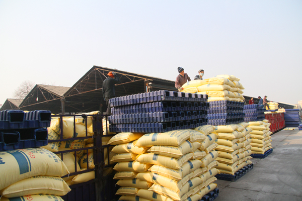 1582622980362665.jpeg 005 IMG_1011.JPG