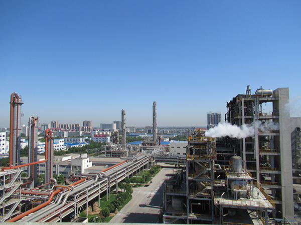 1585560847905184.jpeg 呂國良1(1).JPG