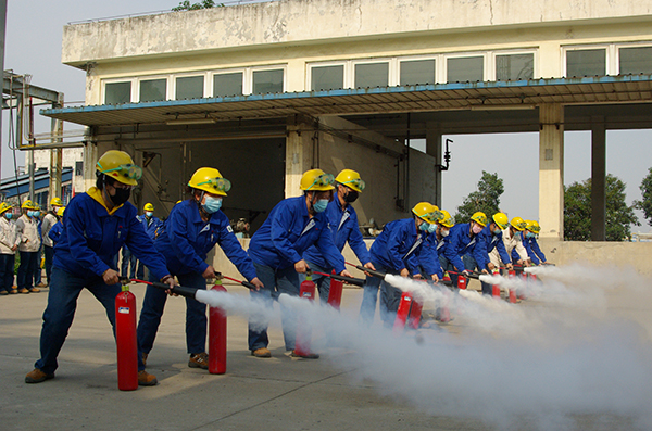 1587722793898475.jpeg IMGP5735600.jpg