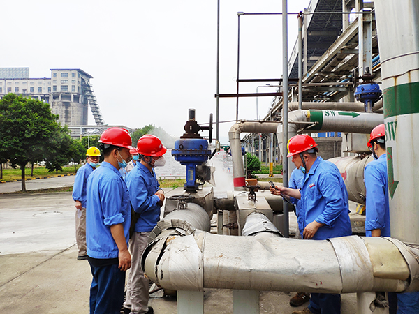 1588897005456223.jpeg 1.jpg