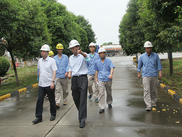 1594979590453631.jpeg 1594977806572654.jpeg