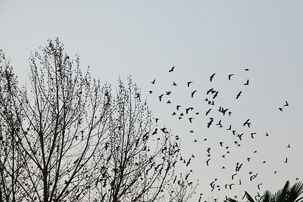 1614084624127957.jpeg IMG_0744600.jpg