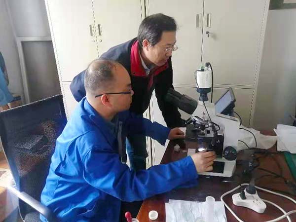 1615535615136848.jpeg 微信圖片_20210311103048.jpg