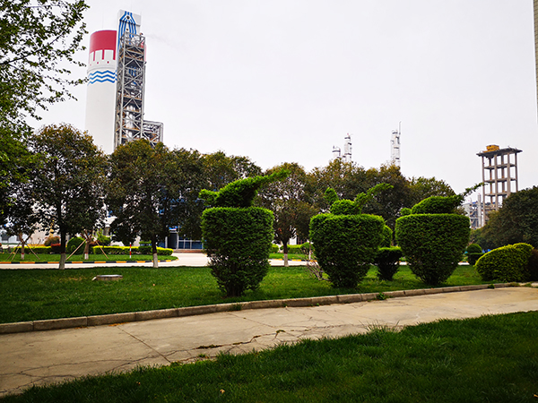 1617929433596909.jpeg 微信圖片_20210409075605600.jpg