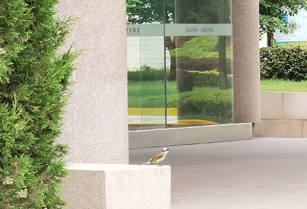 1624964972362282.jpeg 8.jpg