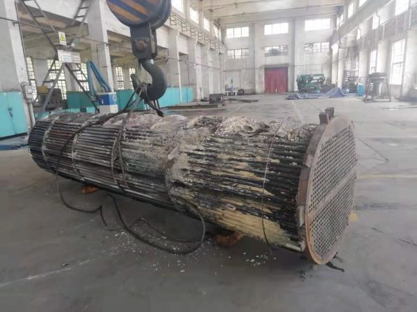 1626134218314119.jpeg 816579851669513223.jpg