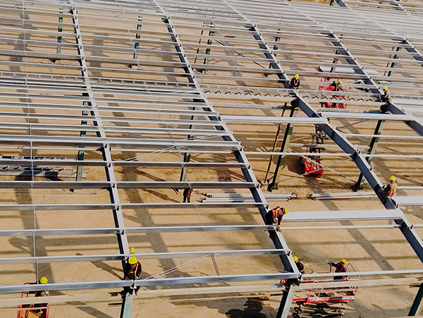 1645748272283528.jpeg 3.jpg