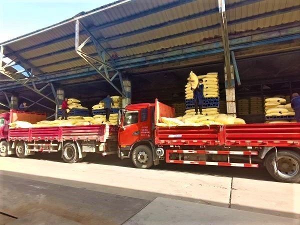 1658454954429274.jpeg 1649406957887145.jpeg