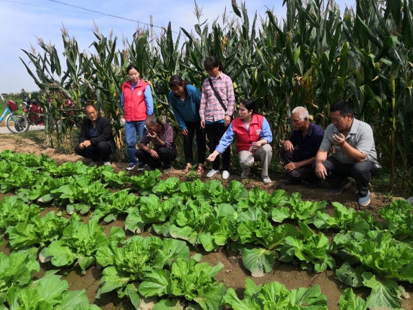 1664185577815713.jpeg 33.jpg