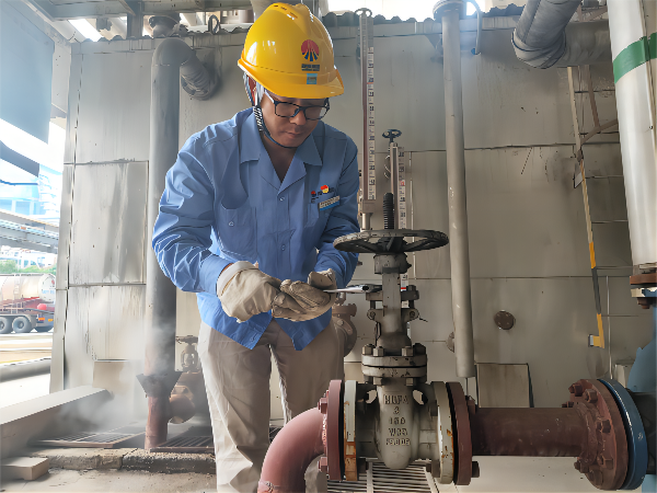 1664519120204317.png 劉瑞斌緊固閥門填料(1).png