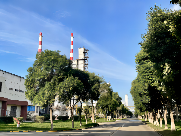 1665987763498553.png 圖1(1).png