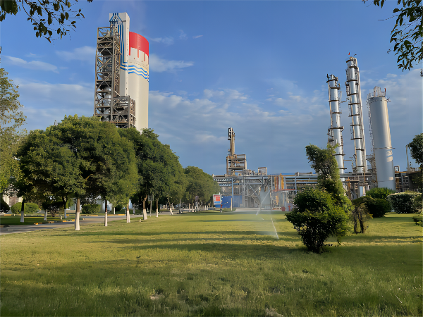 1667274407475694.png 333(1).png