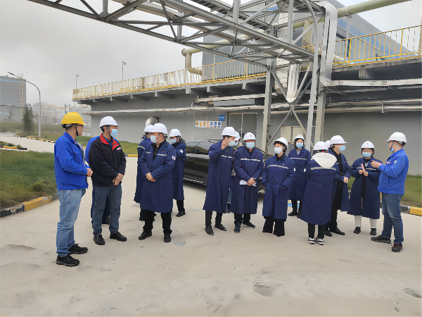 1669183437546459.png 4bb21239e0de2121478aecba744b8ed(1).png