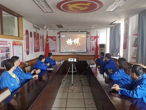 3月27日，實(shí)業(yè)公司黨支部組織黨員干部觀看榜樣7(副圖）.jpg