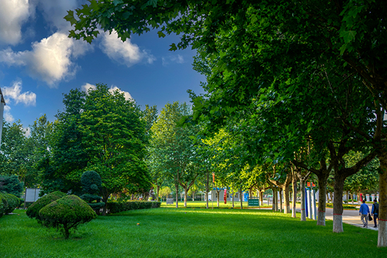 1686528517296746.jpeg 004 004.jpg