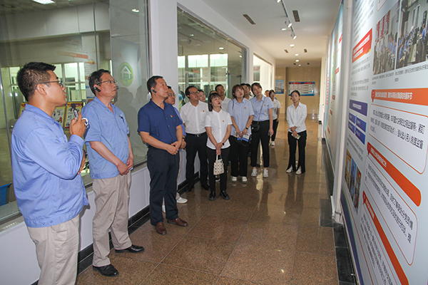 1690354157908579.jpeg IMG_2679 600.jpg