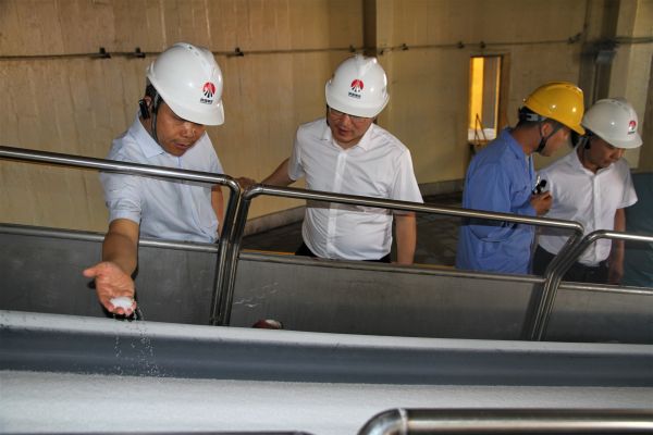 1693475869690699.jpeg IMG_3760.jpg