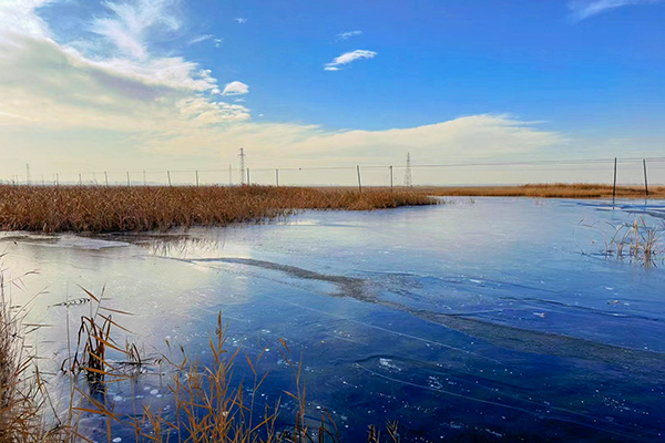 1702866399512907.jpeg bcfc2772d5cd27bf1a2866a0cfefaab.jpg