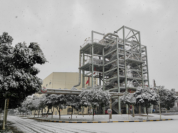 1705650404889183.jpeg 3 (3) 6001.jpg