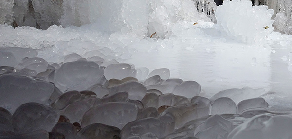 1706077705608519.jpeg 冬之精靈6.jpg