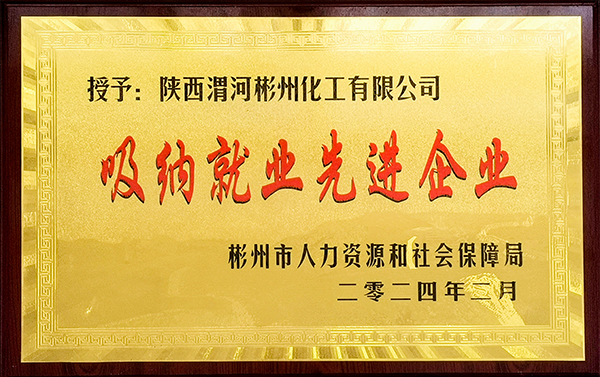 1708496558491543.jpeg 彬州公司榮獲”吸納就業(yè)先進(jìn)企業(yè)“稱號(hào) 600.jpg