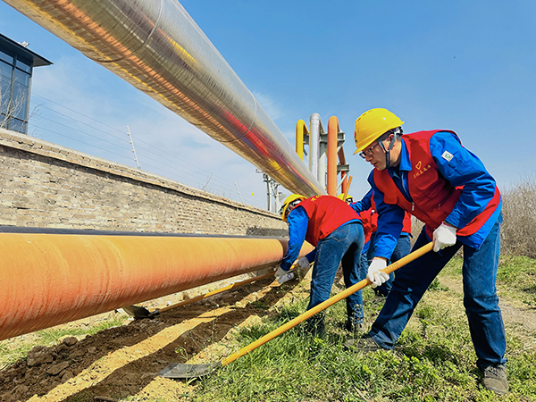 3月20日下午，物料車間黨支部開展了“清除雜草保安全 志愿服務(wù)顯擔(dān)當(dāng)”主題活動(dòng)，黨員及青年志愿者清理管線底部雜草   600.jpg