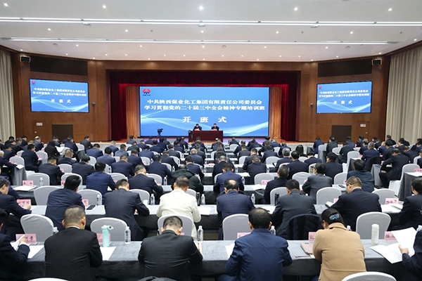 1731999042514795.jpeg 20241119104608_99768.jpg