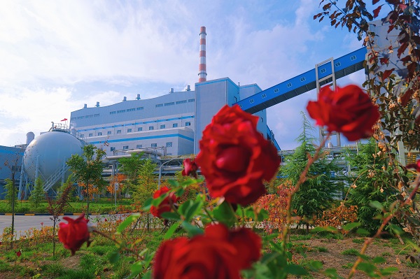 1734569190764678.jpeg 微信圖片_20241219084551.jpg