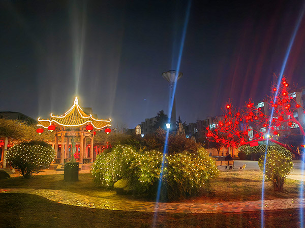 1737332840235636.jpeg 怡樂園夜景1.jpg