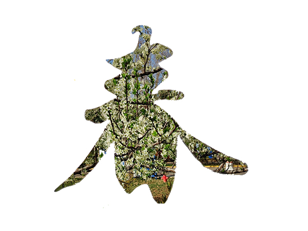 071744022166141707.jpg 9 副圖.jpg