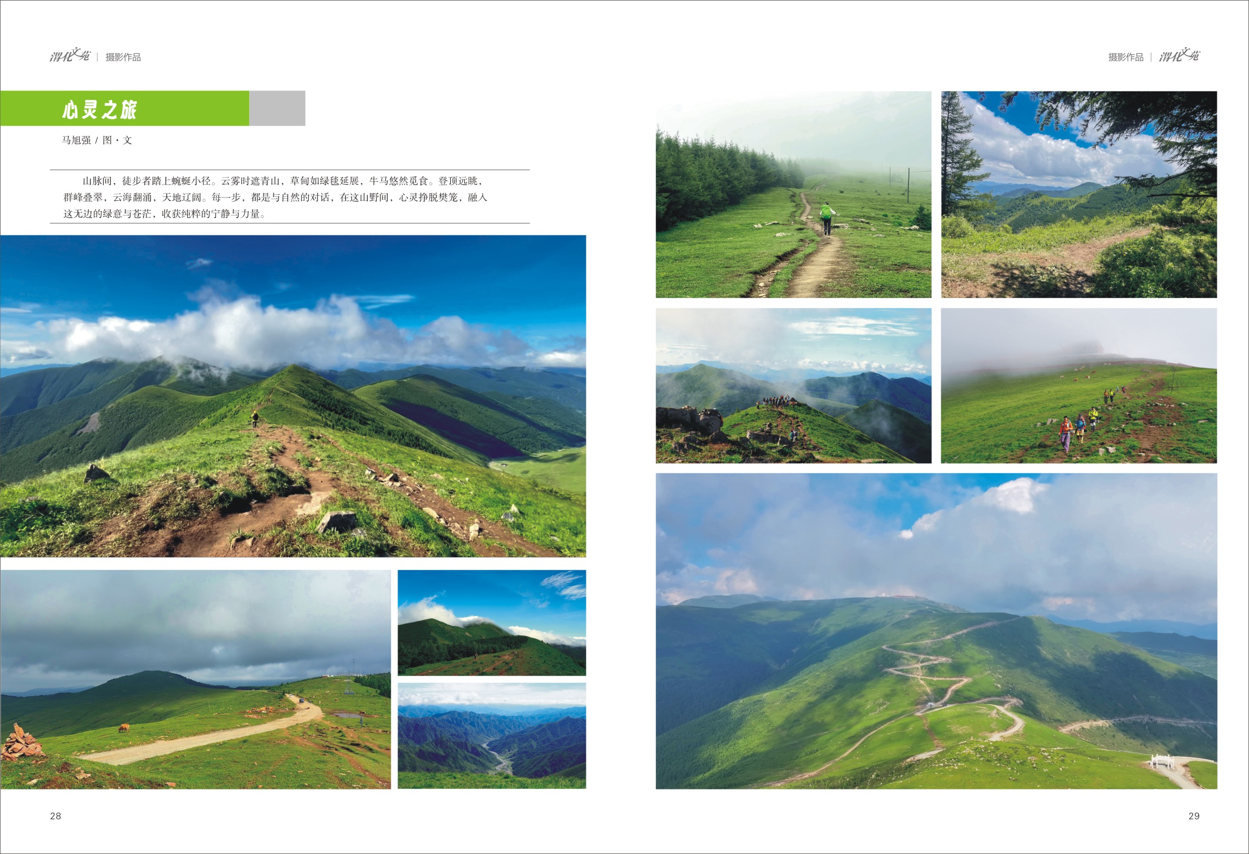 221758512651141492.jpg 15.jpg