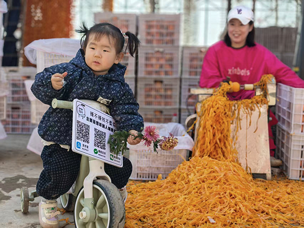 1342ffce19ad7115e3873fc3b8f51f02   600.jpg